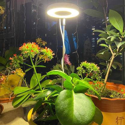 High Brightness Full Spectrum Sunlight LED Plant Light for Seedlings
