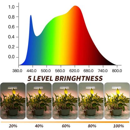 Cute Bee Shape LED Grow Lights for Indoor Plants Seedlings and Herbs view 10