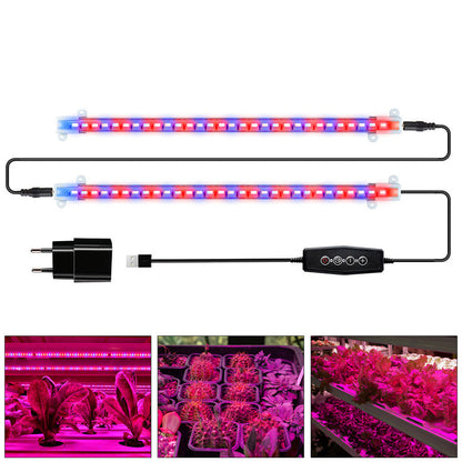 Full Spectrum Dimmable LED Grow Light Strips for Indoor Plants view 14