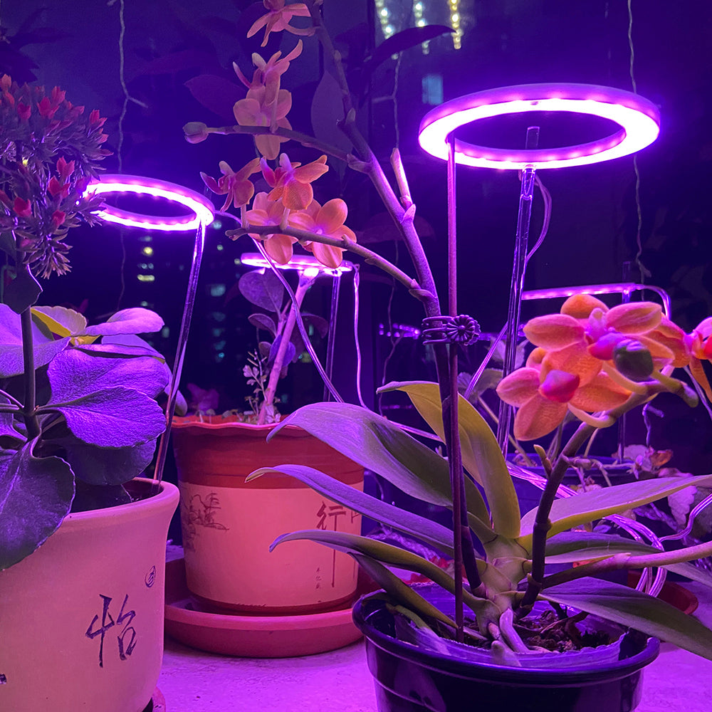 Full Spectrum USB LED Plant Grow Light Red Blue for Seedlings view 3