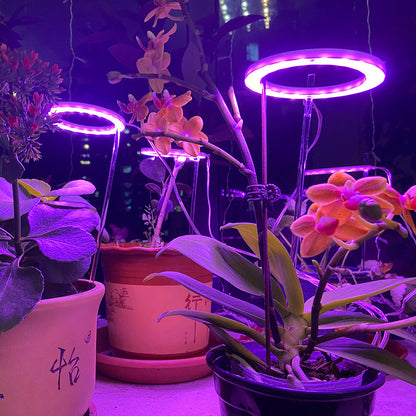 Full Spectrum USB LED Plant Grow Light Red Blue for Seedlings view 3