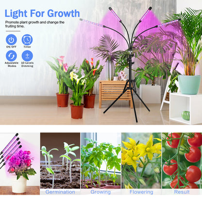 Floor Plant Light Tripod Stand 38 to 120cm and 3 Modes for Seedlings view 7