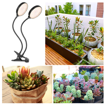 Full Spectrum Sunlight LED Plant Lights for Indoor Plants and Herbs view 10
