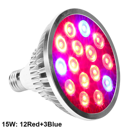 5W to 18W High Brightness Full Spectrum LED Grow Light Bulb for Herbs view 14