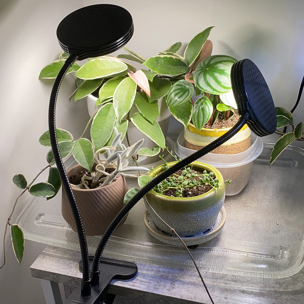 Full Spectrum Sunlight LED Plant Lights for Indoor Plants and Herbs view 11