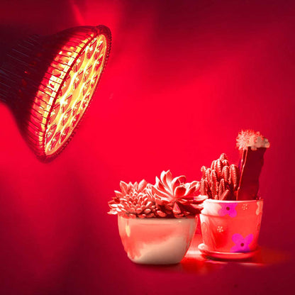 High Power Brightness LED Grow Light PAR38 18W 54W for Indoor Plants view 11