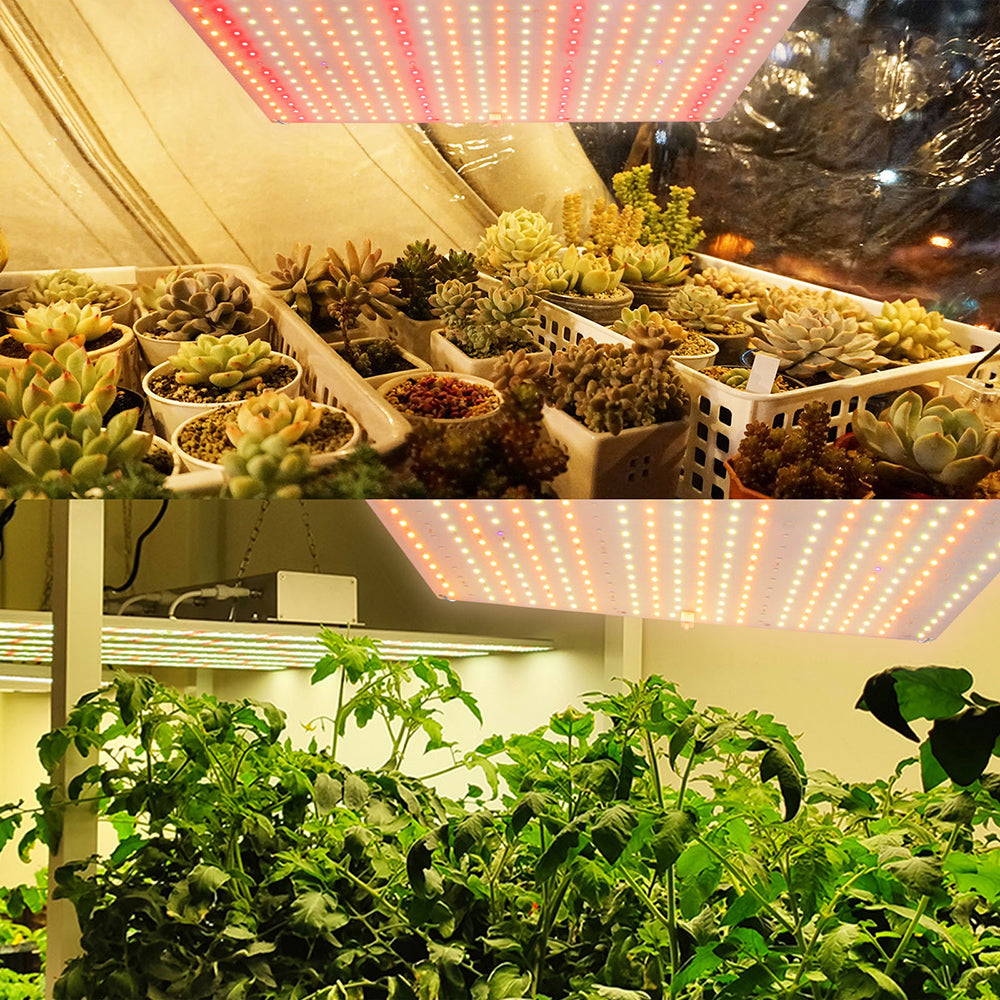 LED Grow Light Full Spectrum for Indoor Plants Seedlings and Herbs view 12
