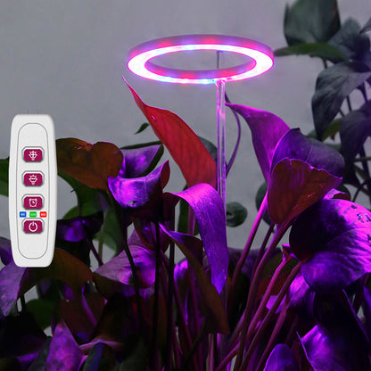Full Spectrum USB LED Plant Grow Light Red Blue for Seedlings