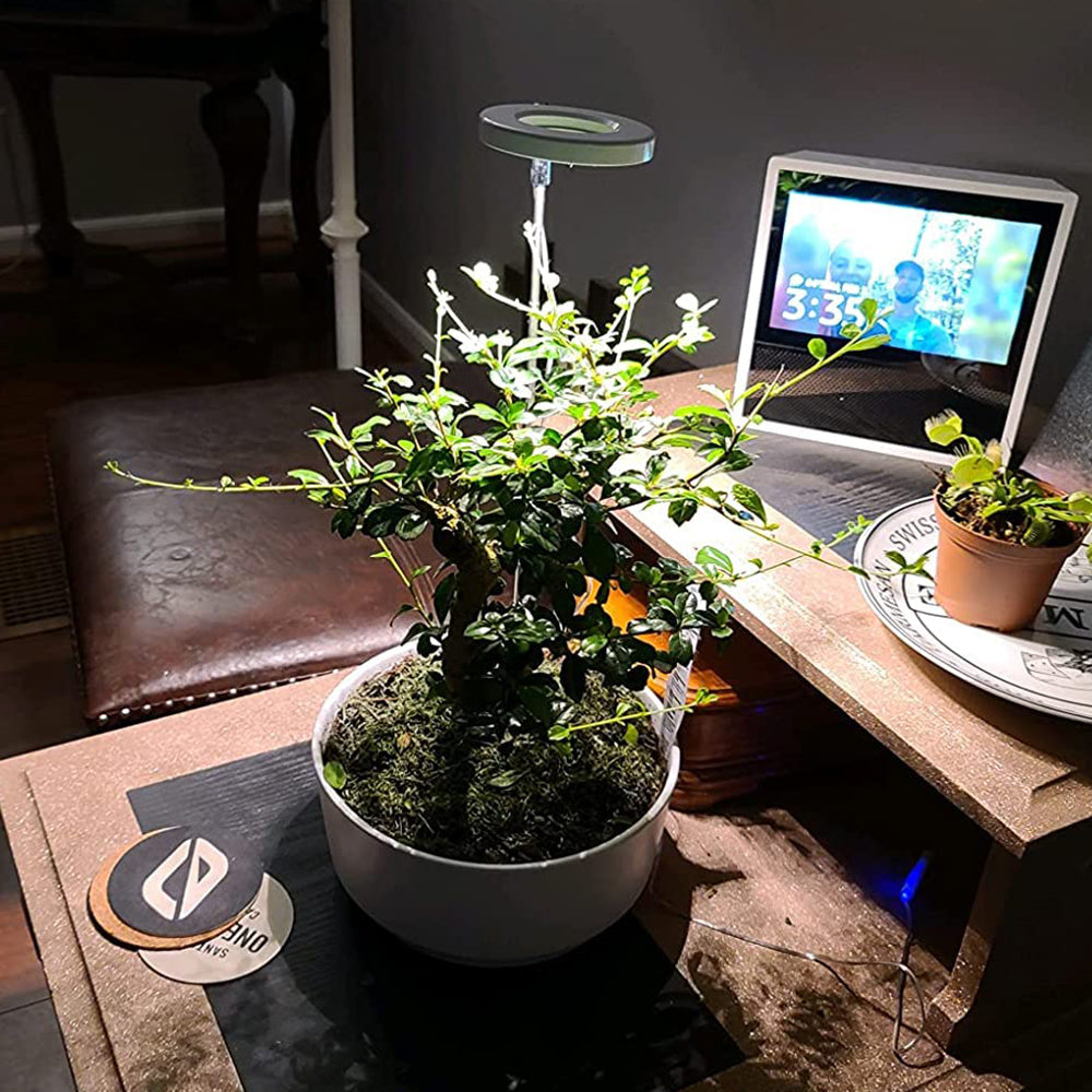 LED Full Spectrum Halo Plant Grow Lamp for Indoor Plants and Herbs view 11