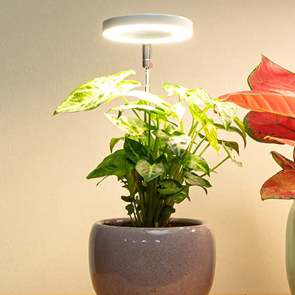 High Brightness Full Spectrum Sunlight LED Plant Light for Seedlings view 4