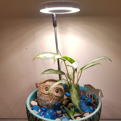 LED Full Spectrum Halo Plant Grow Lamp for Indoor Plants and Herbs view 12