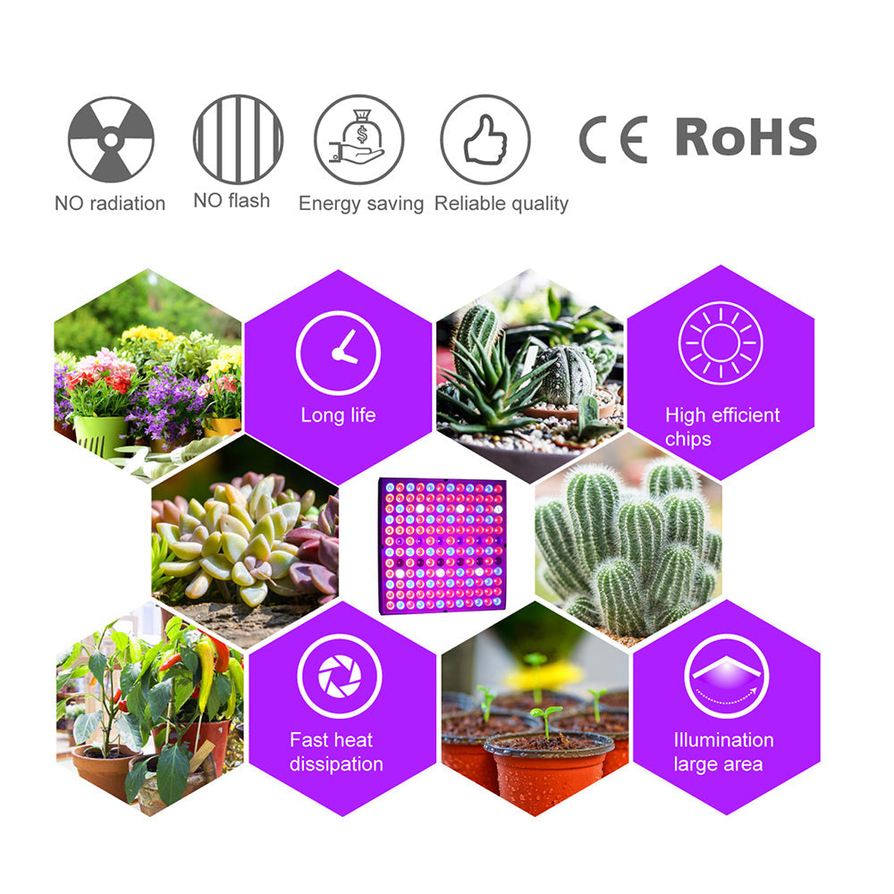 LED Grow Light Full Spectrum Red Blue Light 81 to 312LEDs 25W to 80W view 10