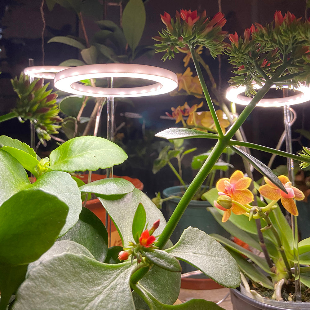 Full Spectrum USB LED Plant Grow Light Sunlight for Seedlings view 6
