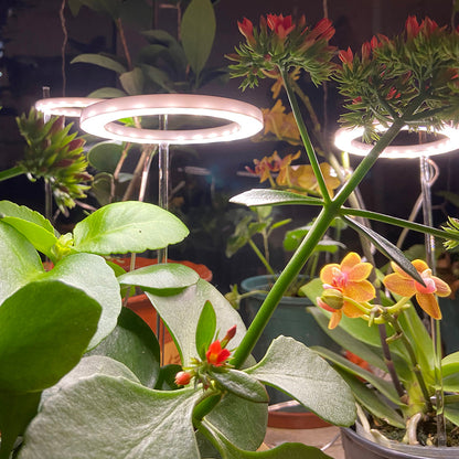 Full Spectrum USB LED Plant Grow Light Sunlight for Seedlings view 6