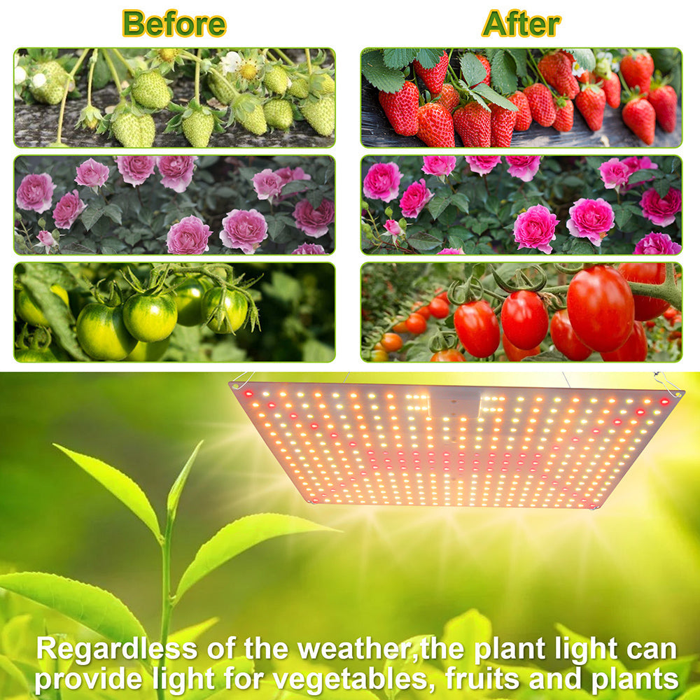 LED Grow Light Full Spectrum 192 to 360LEDs 25W to 65W for Seedlings view 13