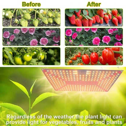 LED Grow Light Full Spectrum 192 to 360LEDs 25W to 65W for Seedlings view 13
