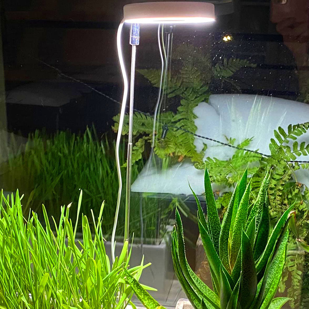 High Brightness Full Spectrum Sunlight LED Plant Light for Seedlings view 3