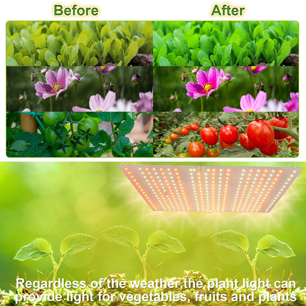 LED Grow Light Full Spectrum for Indoor Plants Seedlings and Herbs view 14
