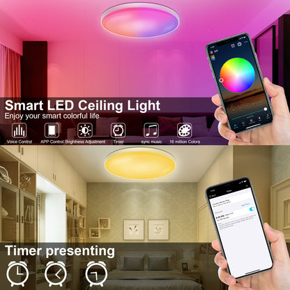 RGB Smart Ceiling Light Fixture for Bedroom Kitchen and Hallway view 4