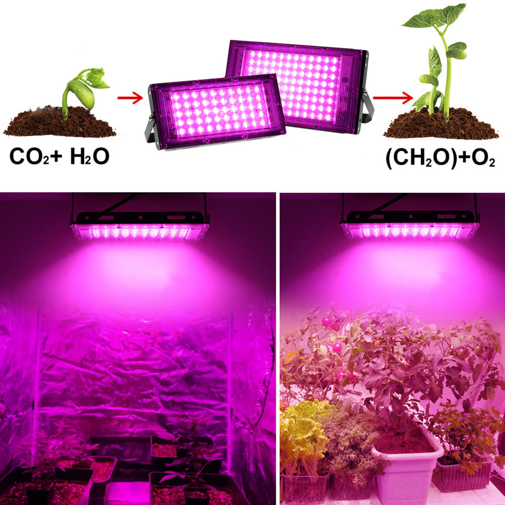 LED Spot Plant Light ON OFF Switch 50W 100W for Indoor Plants view 13