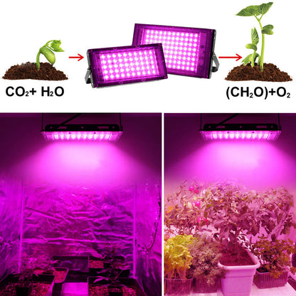 LED Spot Plant Light ON OFF Switch 50W 100W for Indoor Plants view 13