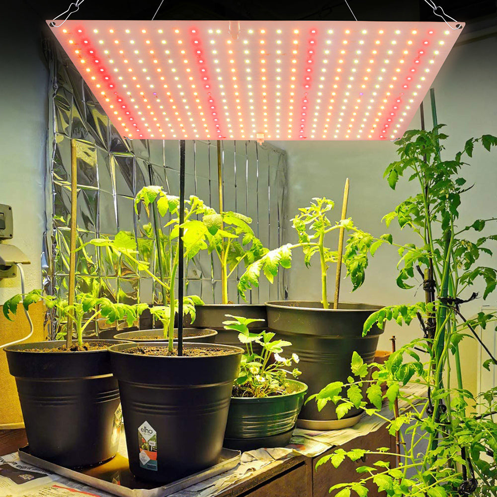LED Grow Light Full Spectrum for Indoor Plants Seedlings and Herbs view 10