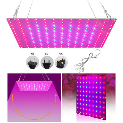 LED Grow Light Full Spectrum Red Blue Light 81 to 312LEDs 25W to 80W view 13