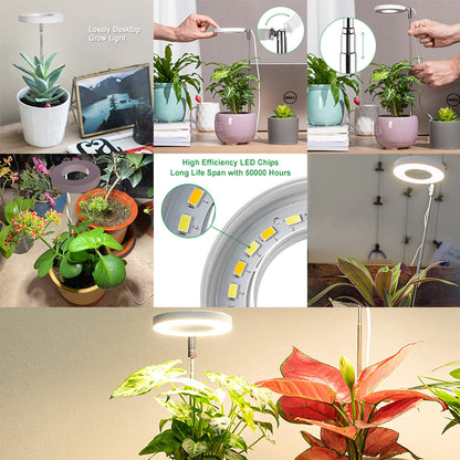 High Brightness Full Spectrum Sunlight LED Plant Light for Seedlings view 11