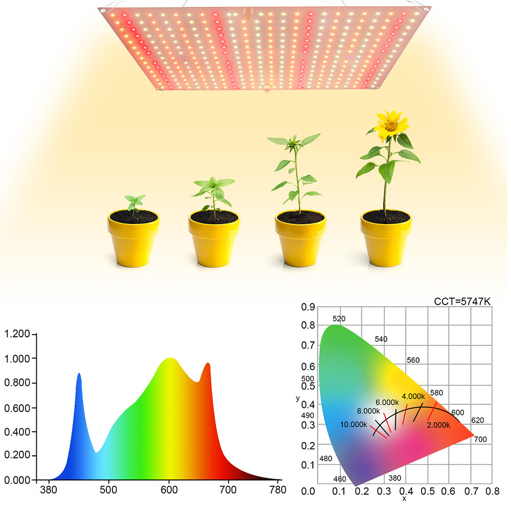 LED Grow Light Full Spectrum for Indoor Plants Seedlings and Herbs view 15