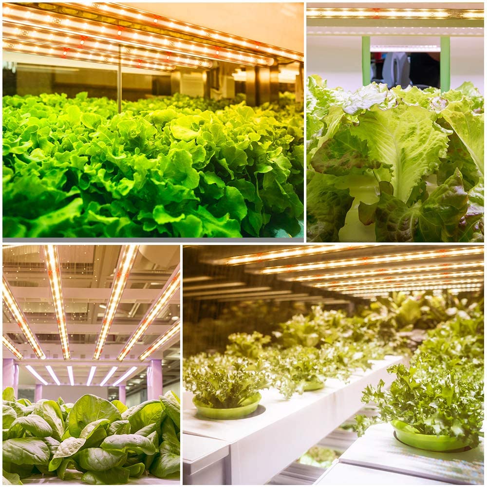 LED Grow Light Strips 3500K Full Spectrum Sunlight for Indoor Plants view 7