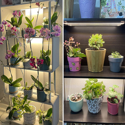 LED Sunlight Grow Light Strips for Indoor Plants Seedlings and Herbs view 9