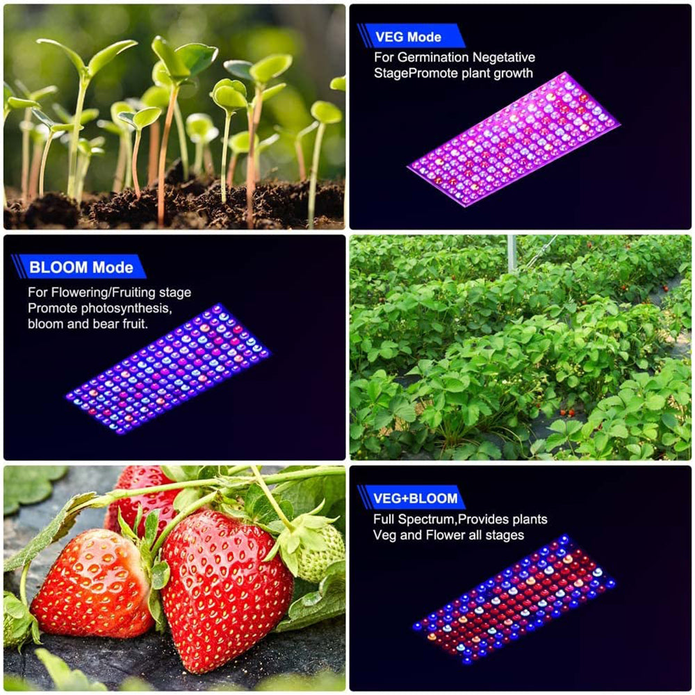 Full Spectrum LED Grow Light Panel Dual Chip Design for Indoor Plants view 11