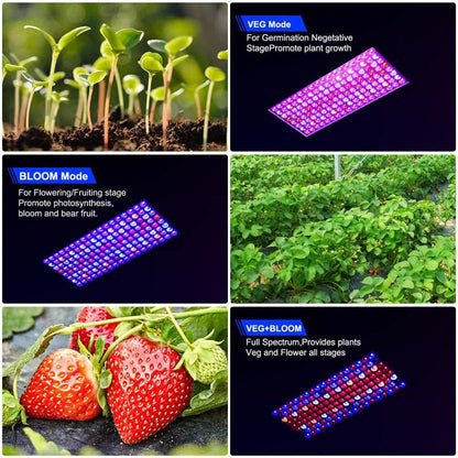 Full Spectrum LED Grow Light Panel Dual Chip Design for Indoor Plants view 11