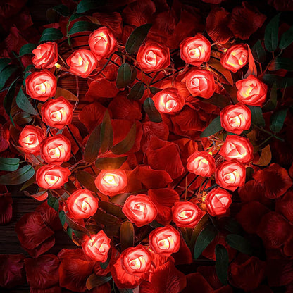 Rose Flower Fairy String Lights for Bedroom Party and Wedding Decor view 19