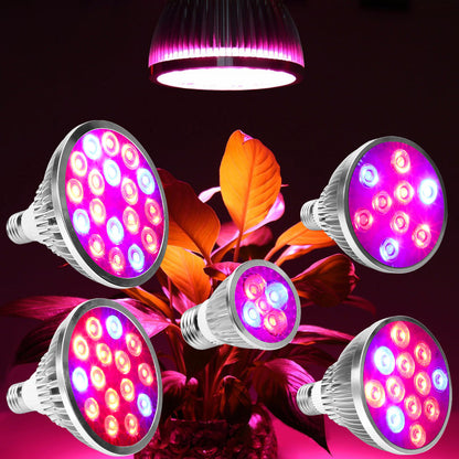5W to 18W High Brightness Full Spectrum LED Grow Light Bulb for Herbs view 2
