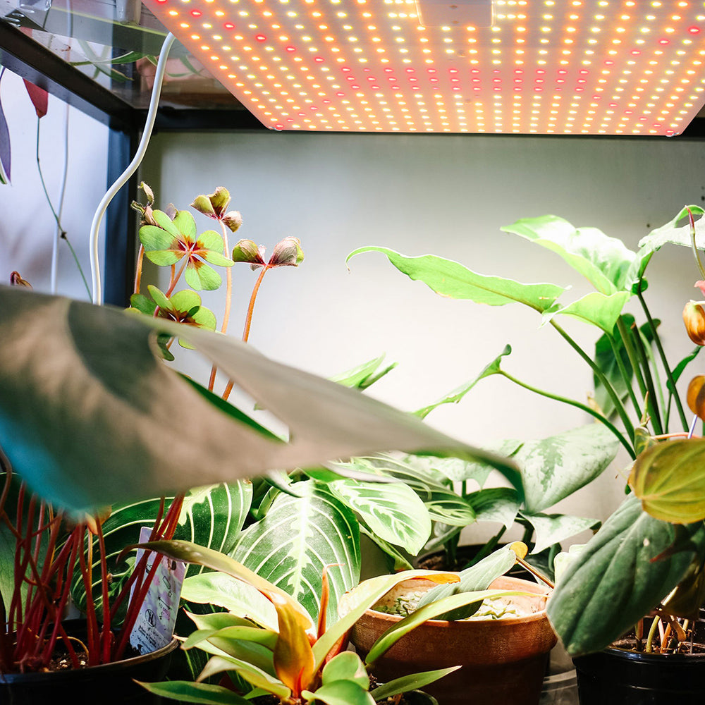 LED Grow Light Full Spectrum 192 to 360LEDs 25W to 65W for Seedlings