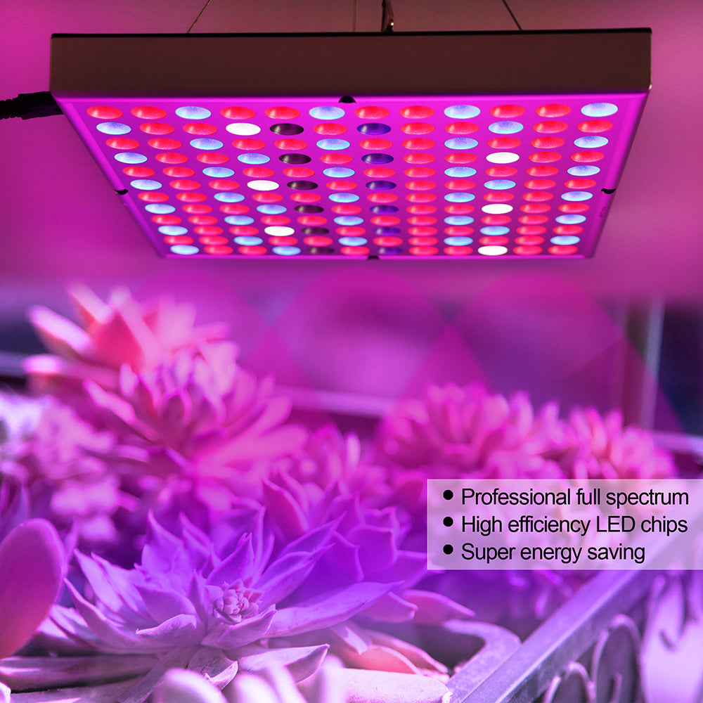 LED Grow Light Full Spectrum Red Blue Light 81 to 312LEDs 25W to 80W
