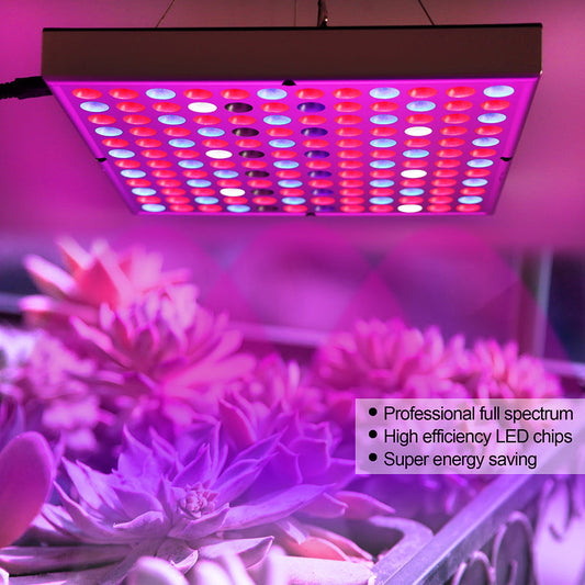 LED Grow Light Full Spectrum Red Blue Light 81 to 312LEDs 25W to 80W