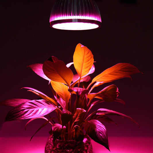 5W to 18W High Brightness Full Spectrum LED Grow Light Bulb for Herbs