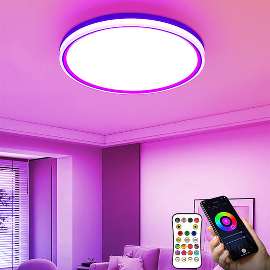Flush Mount LED Ceiling Light Smart WiFi Bluetooth Remote Control