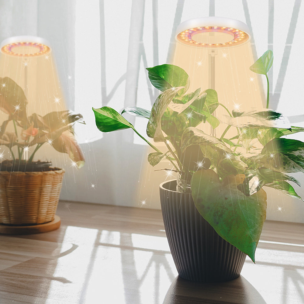 LED Full Spectrum Halo Plant Grow Lamp for Indoor Plants and Herbs view 3