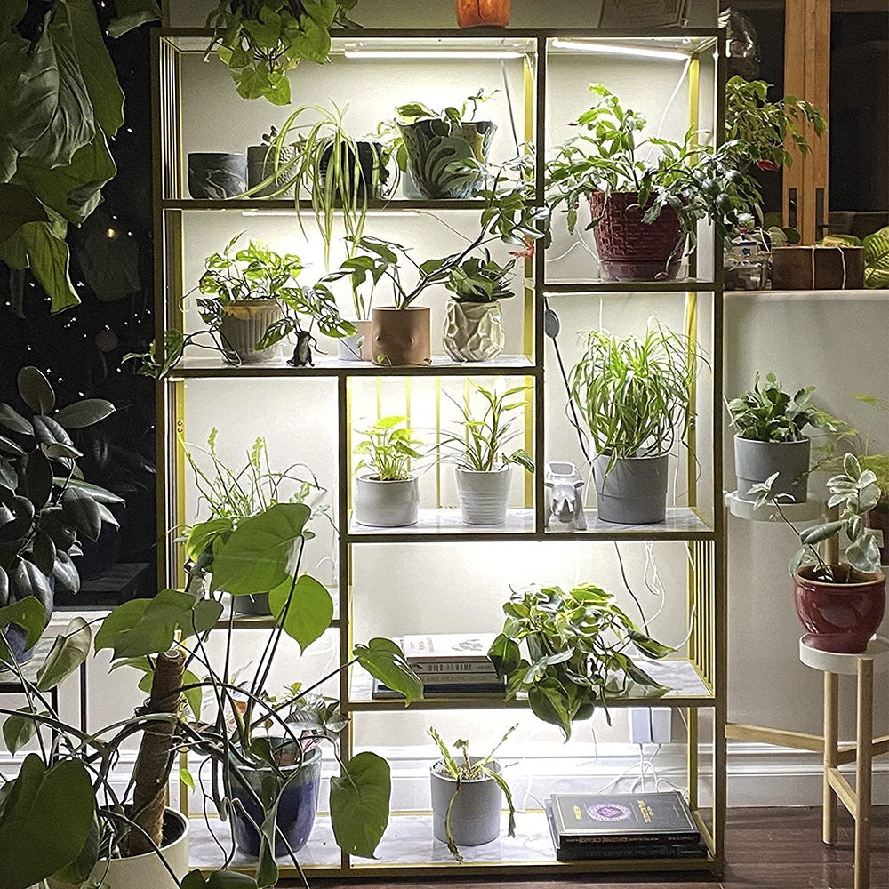 Connectable Sunlight LED Grow Light for Indoor Plants and Seedlings view 3
