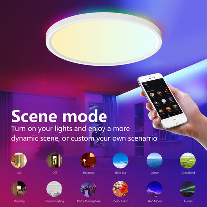 WiFi and Bluetooth Smart LED Ceiling Light Flush Mount for Bedroom view 4