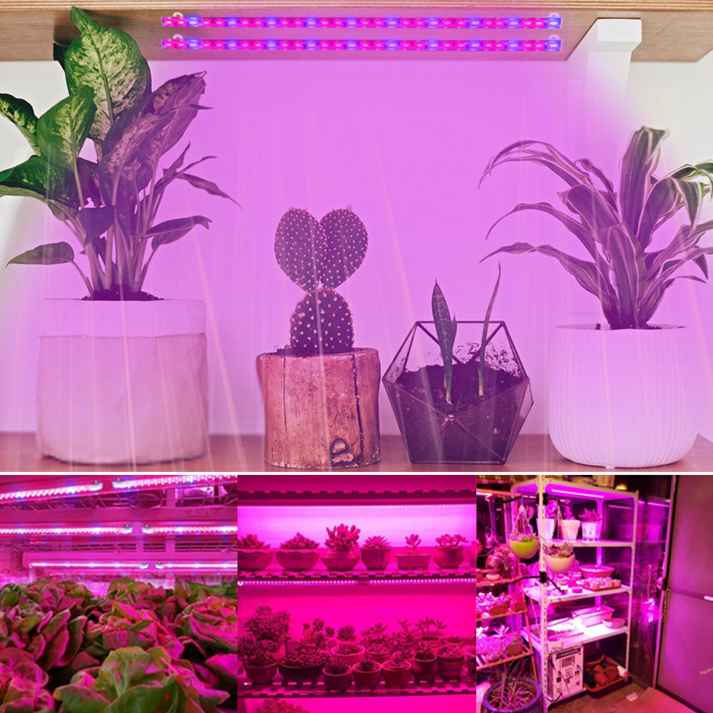 USB LED Plant Grow Light 5V for Indoor Plants Seedlings and Herbs view 5