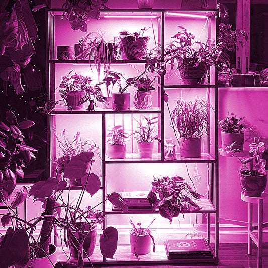 Connectable LED Full Spectrum Grow Light Lamp for Indoor Plants