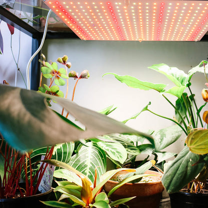 LED Grow Light Full Spectrum for Indoor Plants Seedlings and Herbs view 3