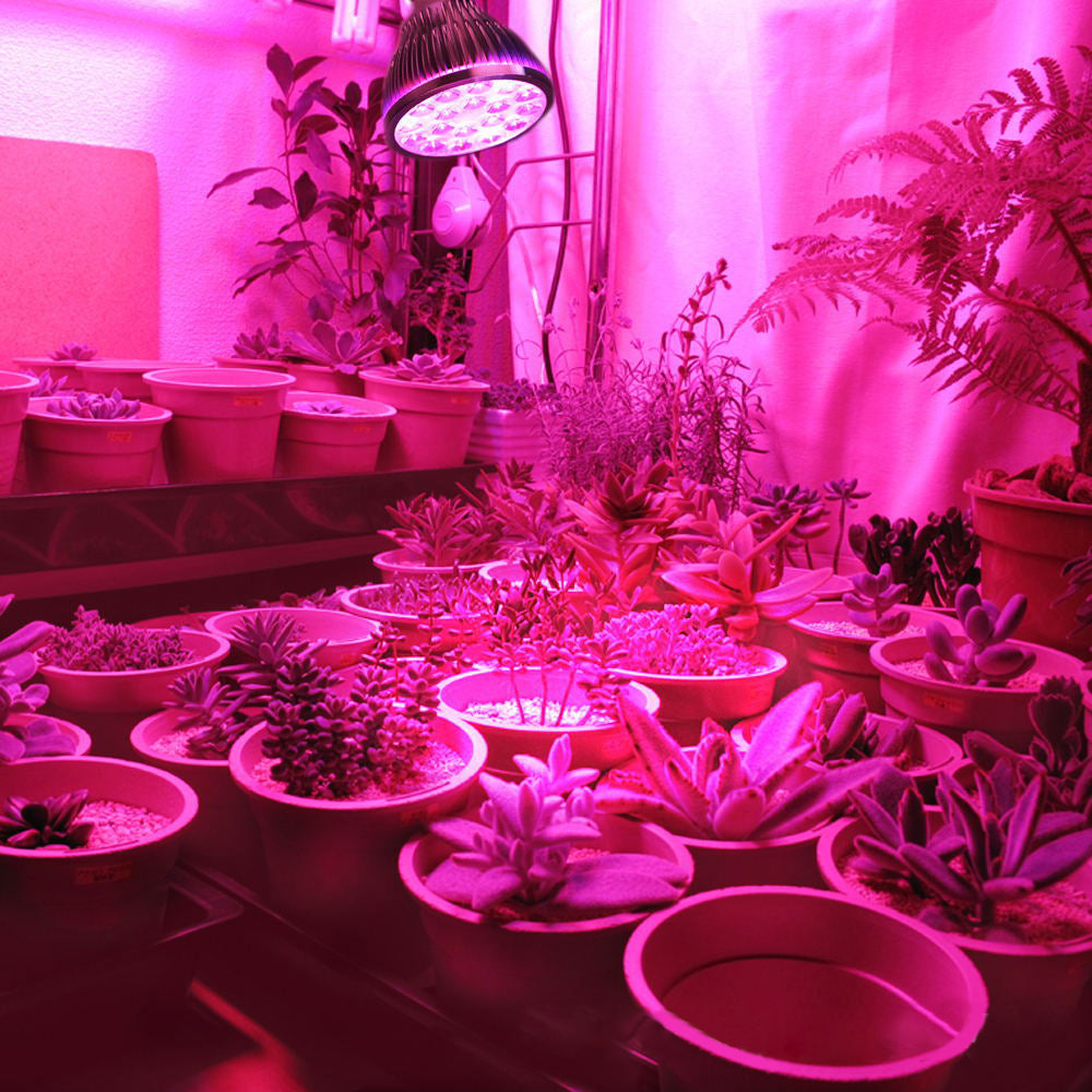 5W to 18W High Brightness Full Spectrum LED Grow Light Bulb for Herbs view 3