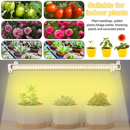 LED Sunlight Grow Light Strips for Indoor Plants Seedlings and Herbs view 3