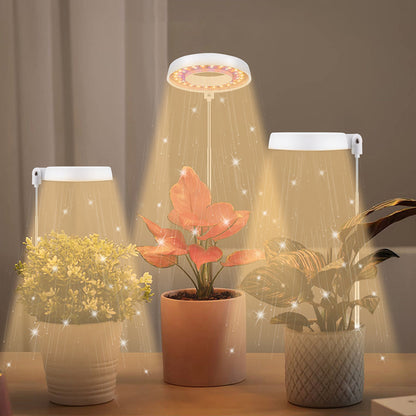 LED Full Spectrum Halo Plant Grow Lamp for Indoor Plants and Herbs view 4