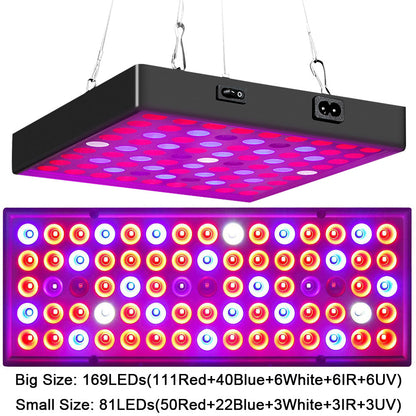 LED Grow Light Full Spectrum Red Blue Light 81 to 312LEDs 25W to 80W view 15